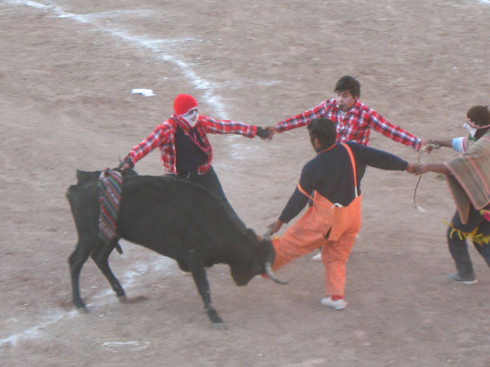 clown bullfight